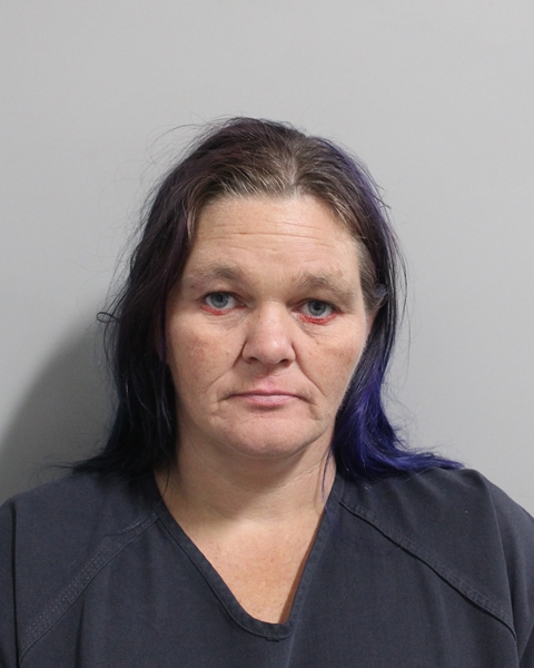 Booking photo of Glenda Feagle