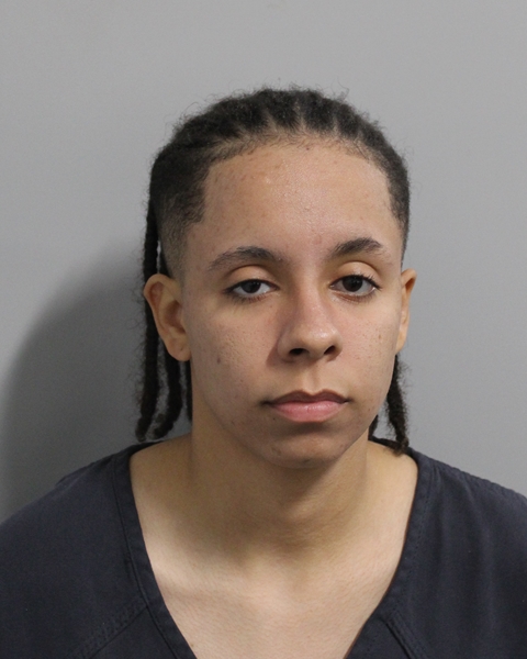 Booking photo of Ana De Oliveira Santos