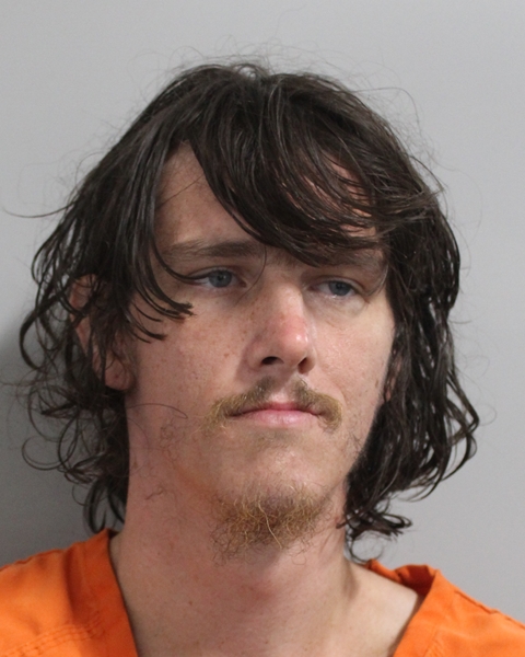 Booking photo of Daniel Landolt