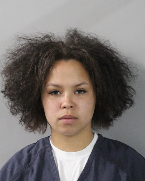 Booking photo of Alexa Lee