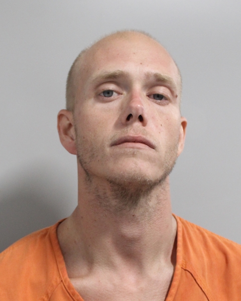 Booking photo of Austin Clements