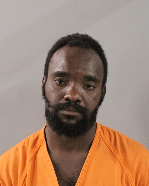 Booking photo of Roodelin Jean
