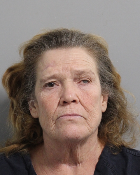 Booking photo of Kimberly Garrison