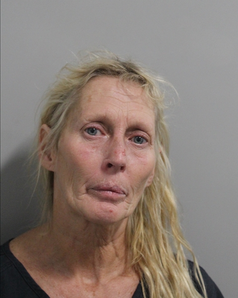 Tina Orr booking photo