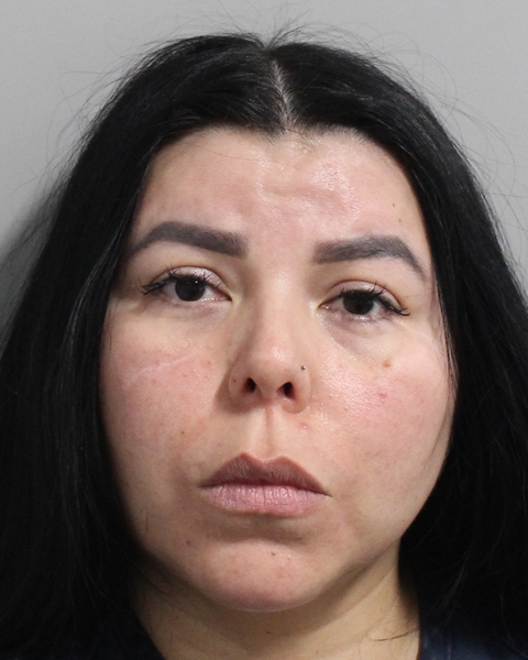 Booking photo of Norma Lugo