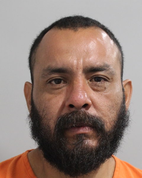 Booking photo of Guadalupe Reyes
