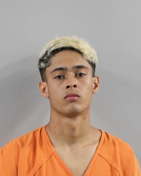 Booking photo of Joao Ferraz Santana