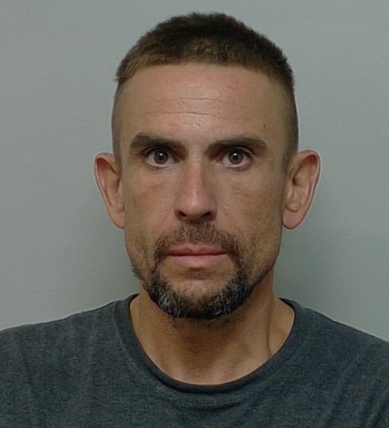 Booking photo of Timothy Despathy