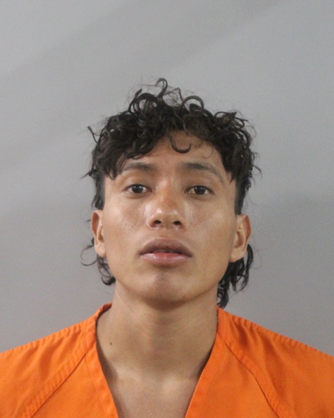 Booking photo of Armino Martin-lines