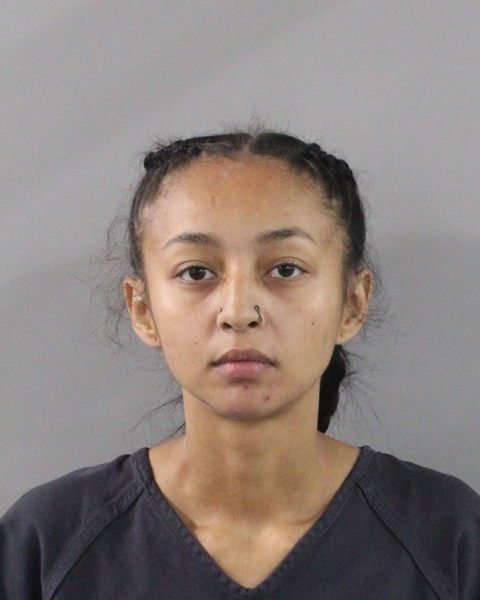 Booking photo of Natalyse Laguer