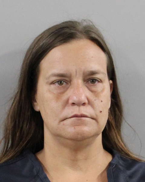 Booking photo of Meisha Bertens