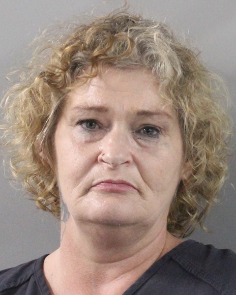 Booking photo of Rita Sanchez