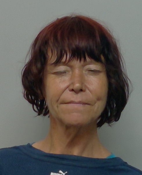 Booking photo of Tonya Knowles