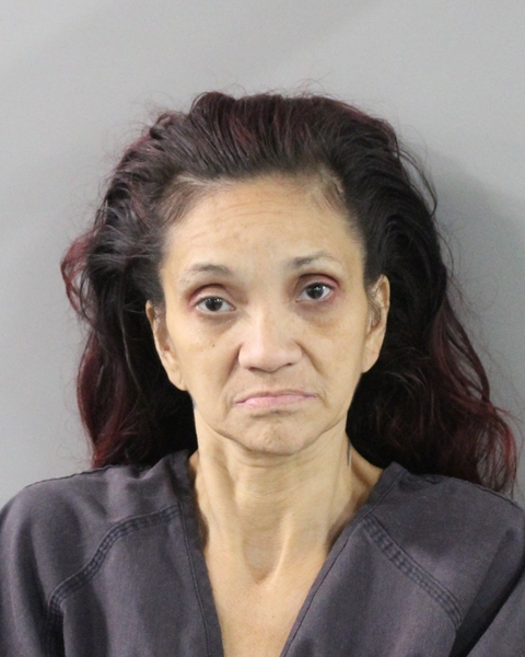 Booking photo of Wendy Franco