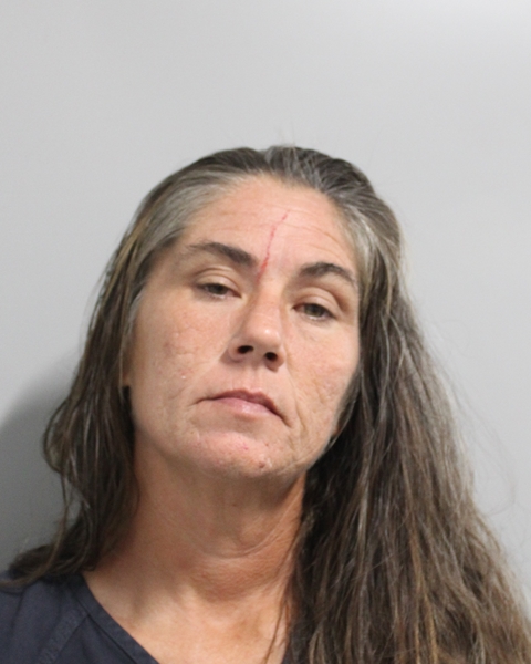 Booking photo of Jessica Hall