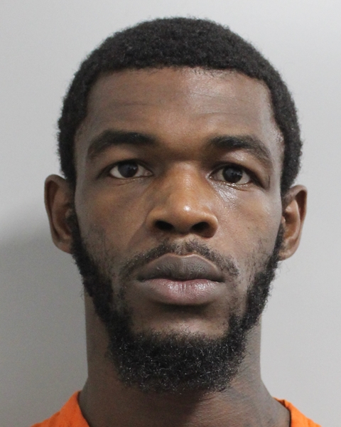 Booking photo of Infeny Coulanges