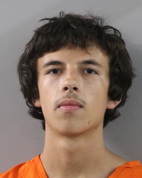Booking photo of Tyler Voisard