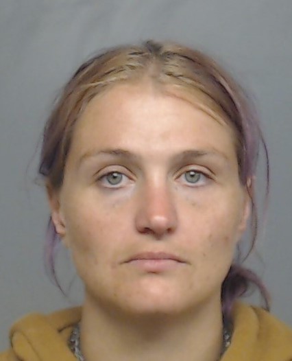 Harley Wiggins booking photo