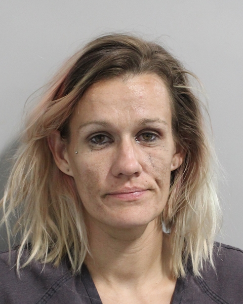 Booking photo of Jessica Sapp