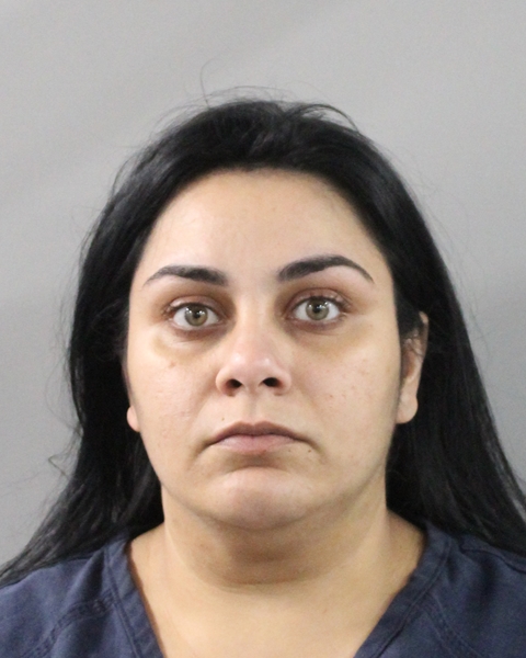 Dinah Girardi booking photo