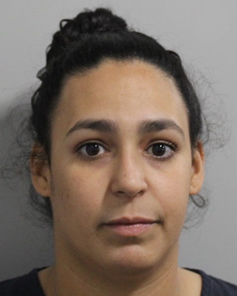 Paola Lopez Colon booking photo
