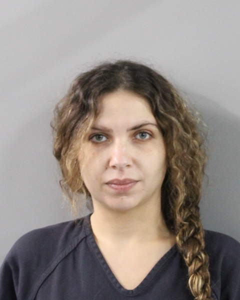 Booking photo of Dima Shehadeh