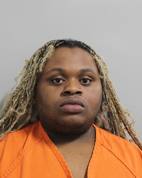Booking photo of Demetrias Gray