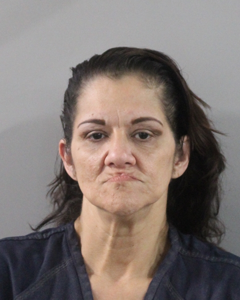 Waleska Pons booking photo