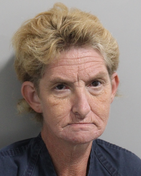 Brenda Rasnake booking photo