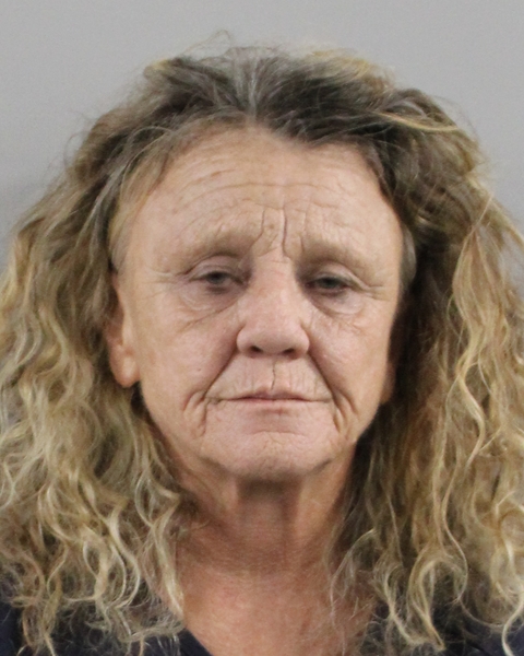 Booking photo of Carol Sanford