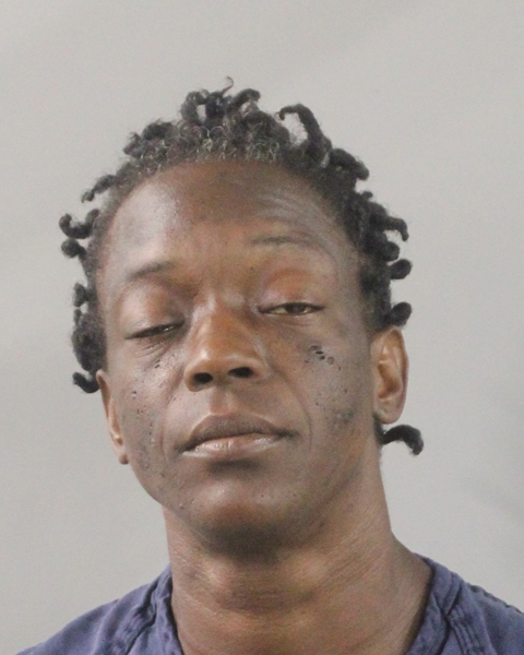 Booking photo of Natalie Valentine