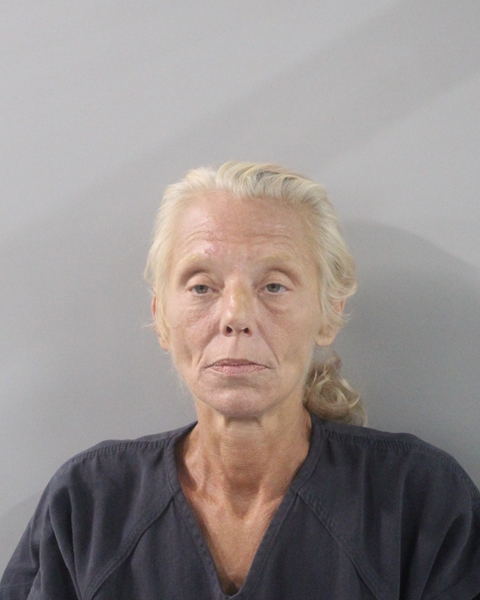 Booking photo of April Bobrowsky
