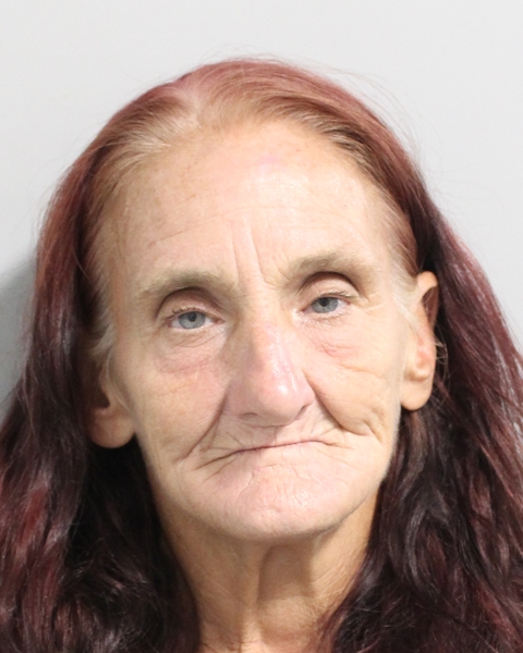 Booking photo of Lori Konyha