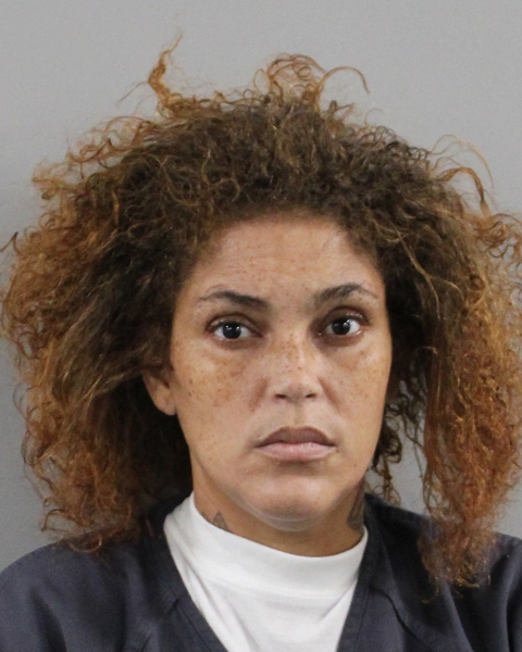 Booking photo of Iris Garcia