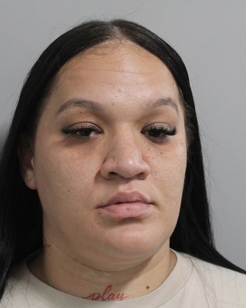 Angelica Albelo booking photo