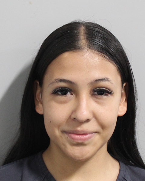 Booking photo of Chelsy Prado