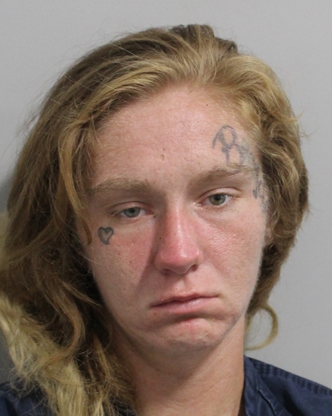 Booking photo of Alyssa Gess