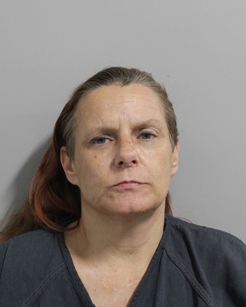 Booking photo of Jessica Hudson