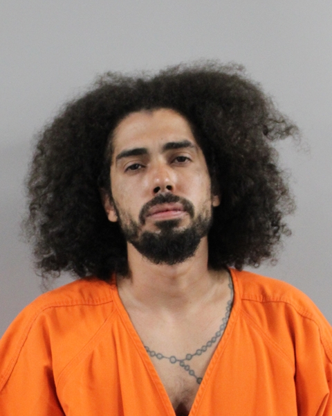 Jatavis Williams booking photo