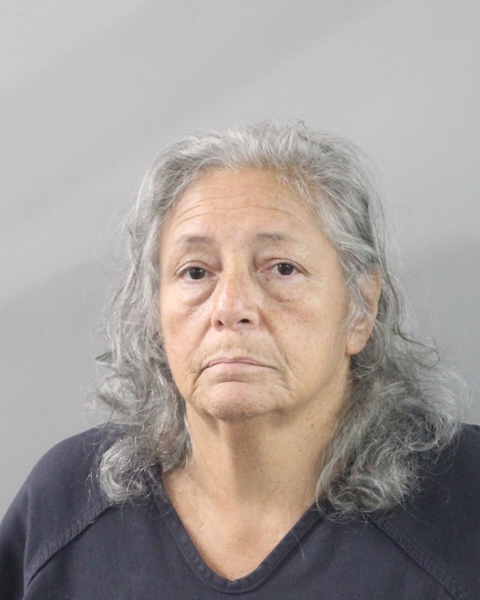 Patty Adkins booking photo
