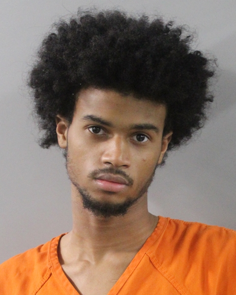 Booking photo of Elvis De La Rosa
