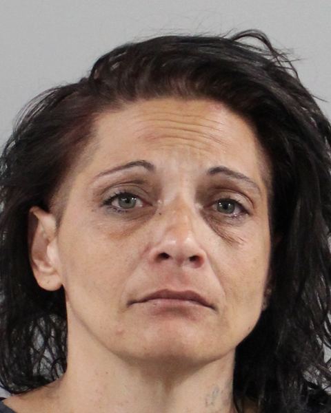 Booking photo of Lisa Risbon