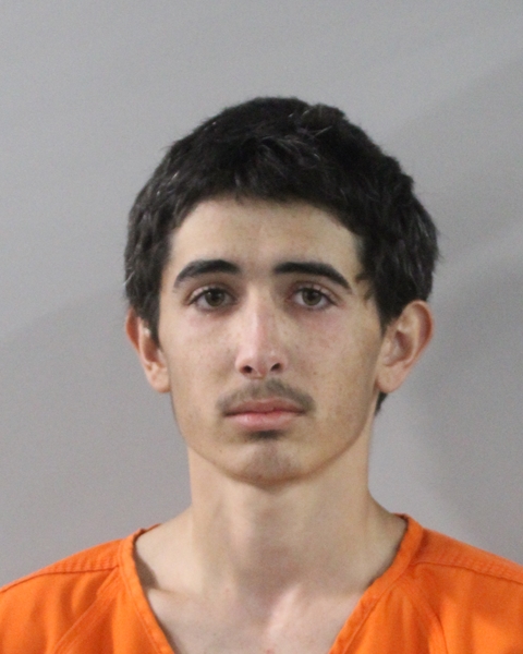 Booking photo of Tristin Johnson