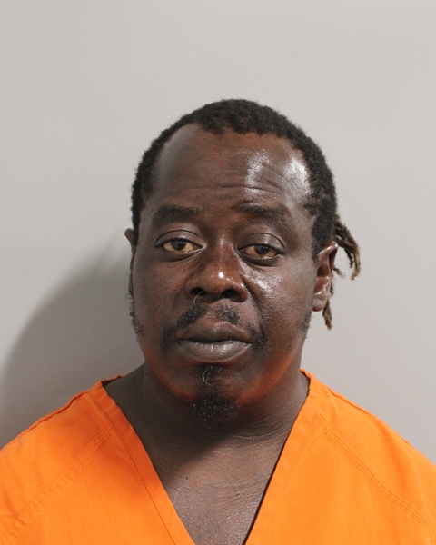 Booking photo of Jinot Manelas