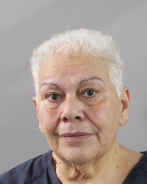 Alba Sanchez booking photo