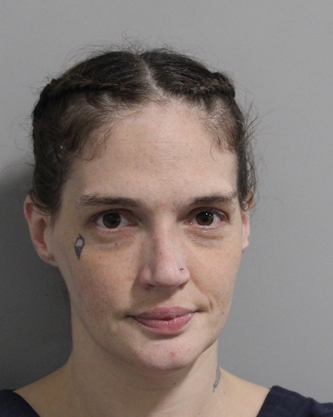 Booking photo of Ashley Connolly