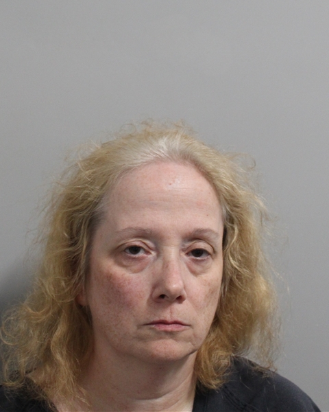 Theresa Vester booking photo