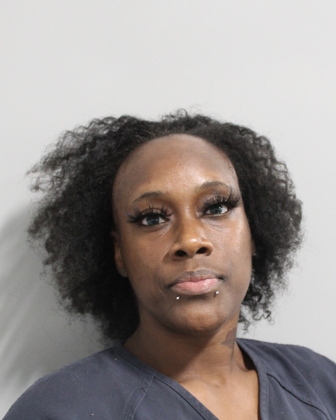 Booking photo of Shyhundai Byron