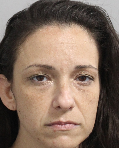 Megan Lee booking photo