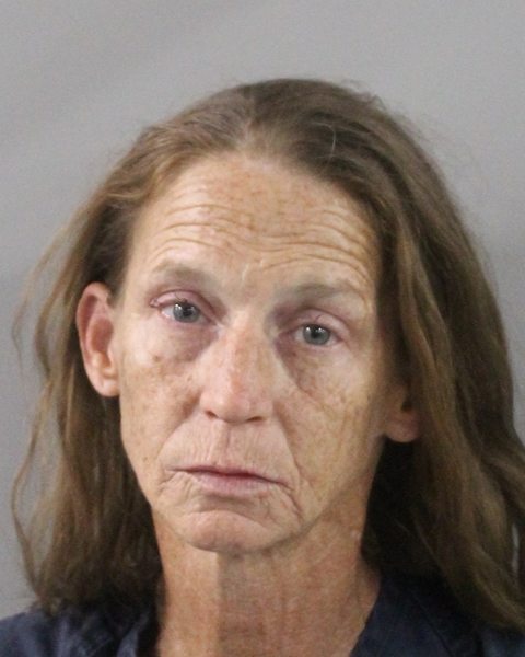 Booking photo of Lizbeth Mix